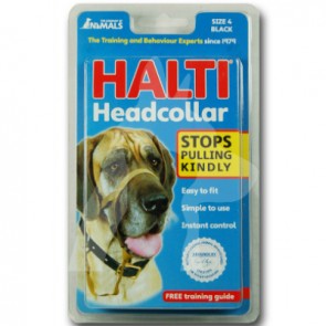 (HH042) Size 4 - HALTI Headcollar 咀繩(棉質軟墊)